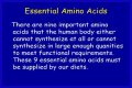 Are You Eating the Right Proteins? Know Your Essential Amino Acids