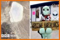 Popular "Storm Area 51" Joke Inspires Review of the Science of Aliens