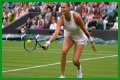 Wimbledon 2021: Aryna Sabalenka vs Karolina Pliskova Preview, Head to Head and Prediction