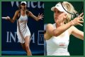 WTA Linz Open 2020: Océane Dodin vs Jil Teichmann Preview, Head-to-Head and Prediction